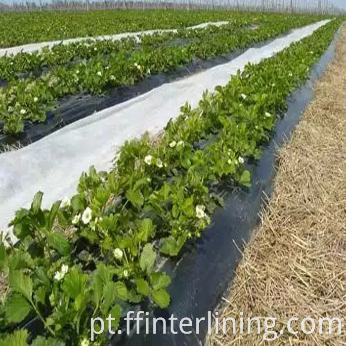 Agricultura Weed Controle Spunbonded PP tecido não tecido, Spunbonded polipropileno não tecida